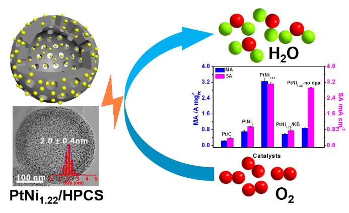 PtNi1